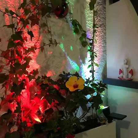 Suites El Rojo
